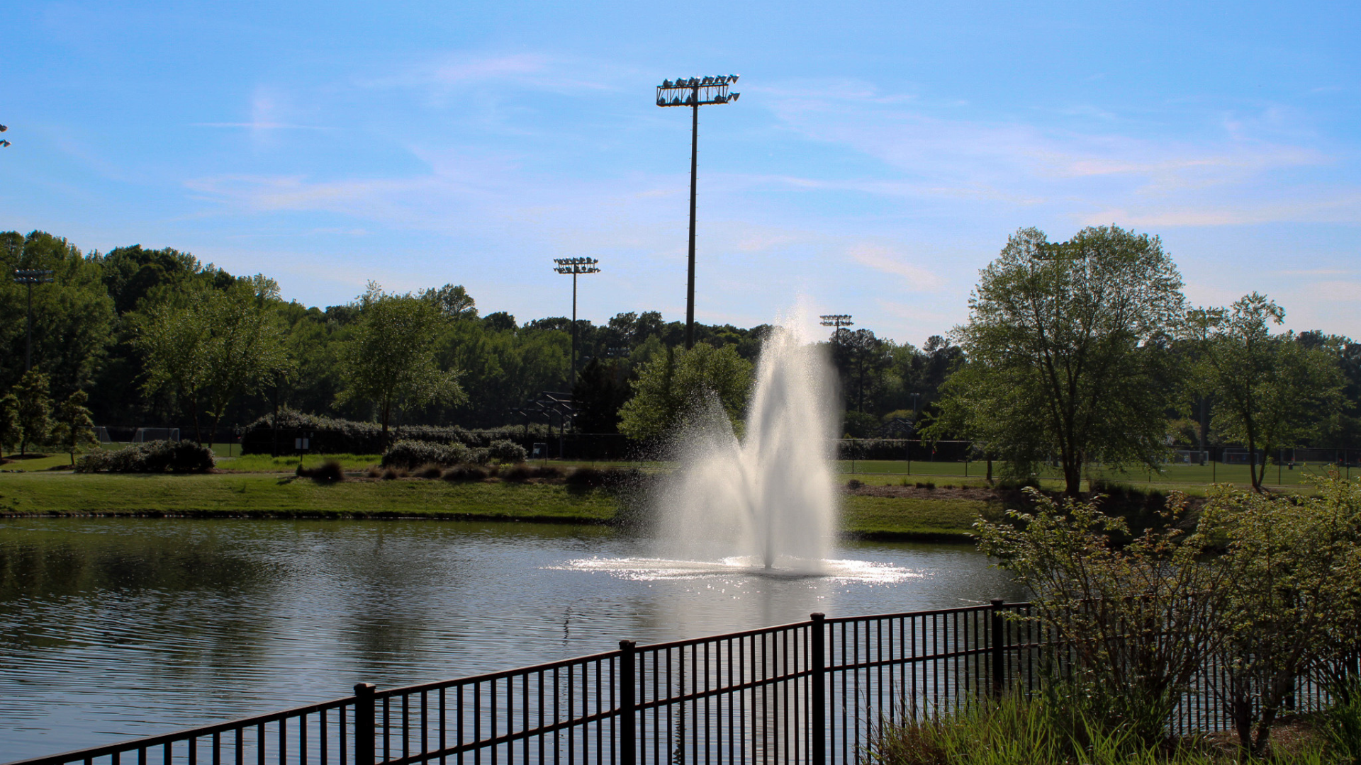 manchester Meadows